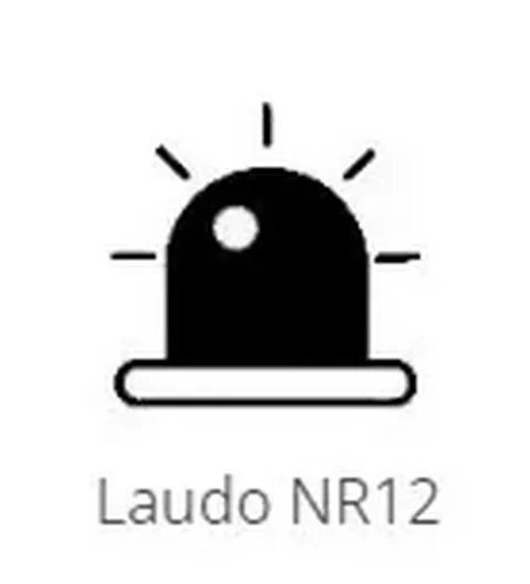 Laudo NR12